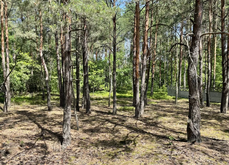 Експосадовець ДСНС купив на аукціоні майже 17 соток курортної землі на Волині