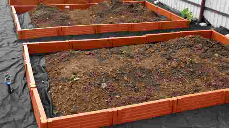 Ранній врожай гарантований: як облаштувати теплі грядки власноруч