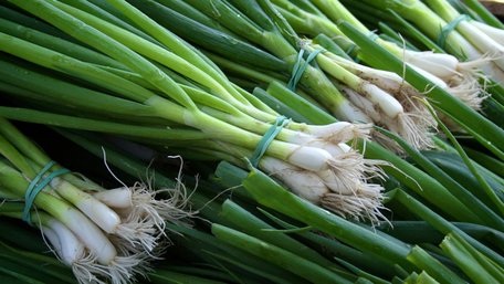 Ніжна й ароматна: як правильно смажити зелену цибулю, щоб вона не зіпсувалась