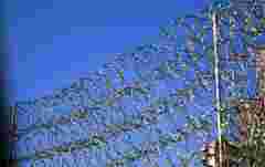 Мешканець Львівщини отримав три роки тюрми за відмову від мобілізації з релігійних переконань