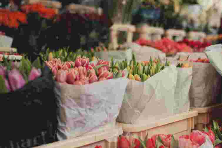 Більшість українців не святкуватимуть 8 березня 