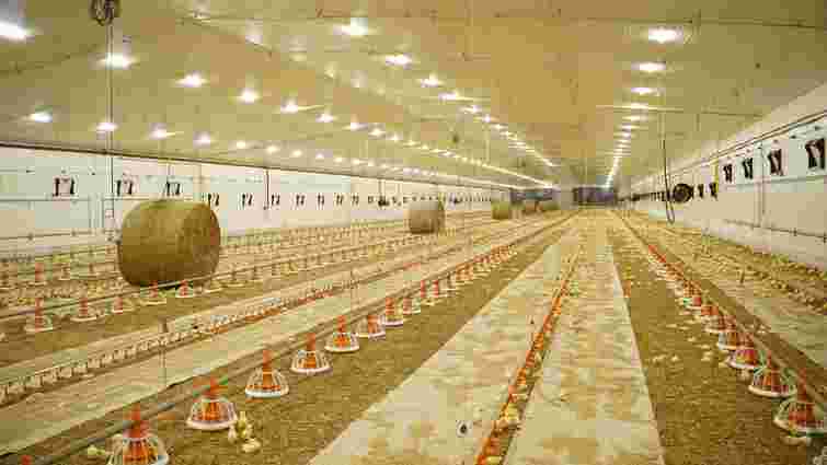 Агрохолдинг братів Добкіних відкрив на Волині птахокомплекс за 15 млн євро