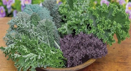 Підтримка жовчного міхура: п'ять продуктів, які знижують ризик виникнення каменів