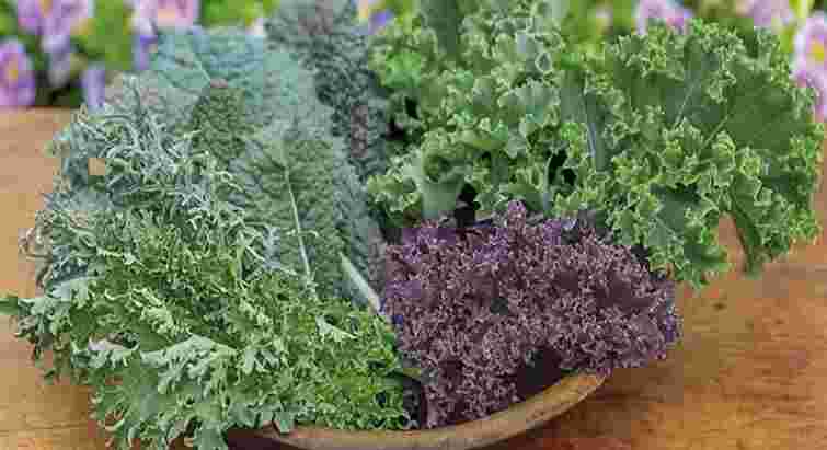 Підтримка жовчного міхура: п'ять продуктів, які знижують ризик виникнення каменів