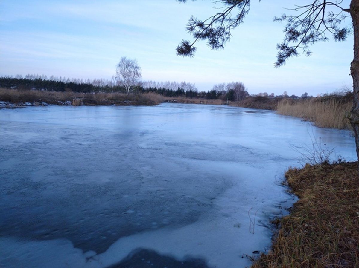 У ставку на Черкащині виявили тіла двох дітей 
