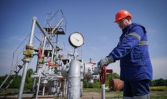 Зіновій Козицький з партнером придбали збиткову фірму з нафтогазовим родовищем на Львівщині