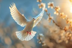 Час настав: що обов’язково потрібно викинути з дому перед Благовіщенням