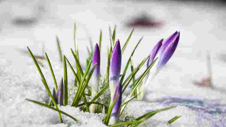 Астрономічна весна уже скоро: коли буде весняне рівнодення у 2026 році