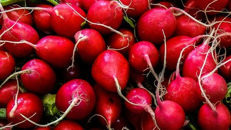 Це не привід викидати овоч: як прибрати гіркоту редиски