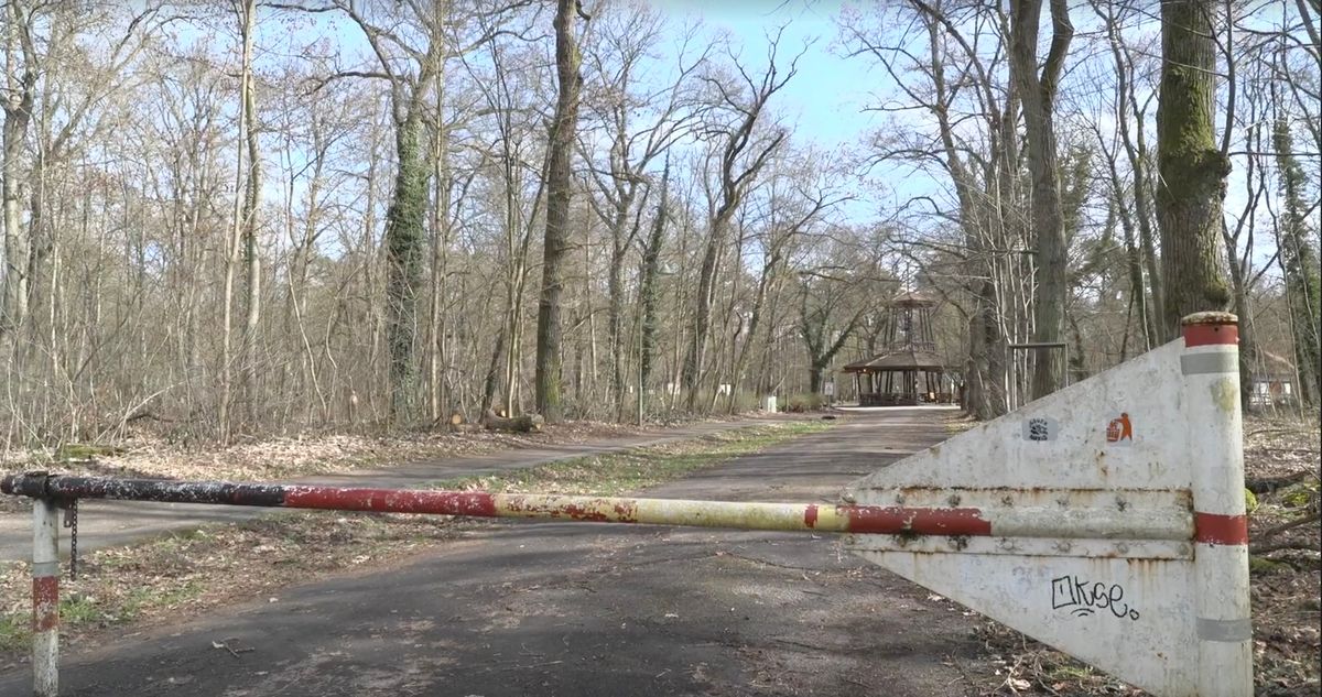 У Німеччині в зоні відпочинку виявили тіло 19-річної української біженки