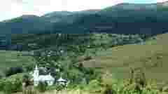 Мешканці села на Закарпатті виступили проти вирубки лісу для будівництва лінії електропередачі