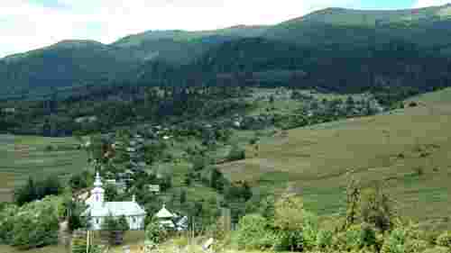 Мешканці села на Закарпатті виступили проти вирубки лісу для будівництва лінії електропередачі