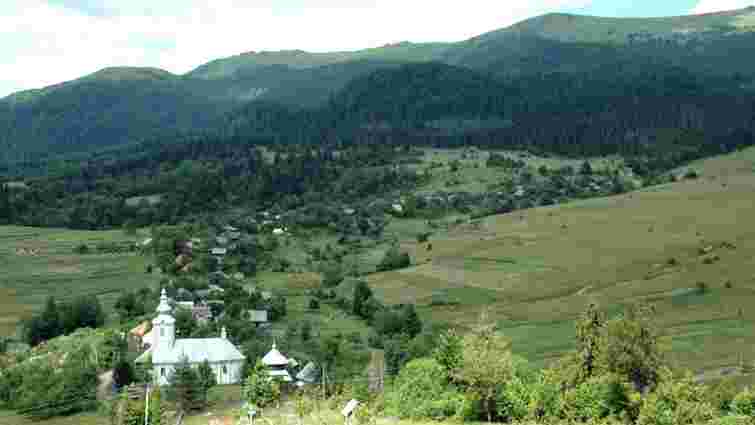 Мешканці села на Закарпатті виступили проти вирубки лісу для будівництва лінії електропередачі