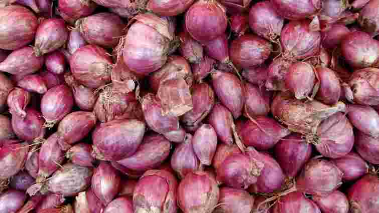 Чим цибуля шалот відрізняється від звичайної: несподівані нюанси