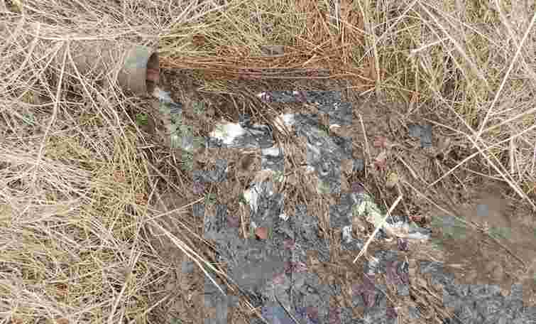 Поліція розслідує зливання відходів з птахофабрики у річку на Тернопільщині 