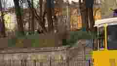 У Львові шестирічна дівчинка потрапила до лікарні внаслідок падіння з велосипеда в центрі міста