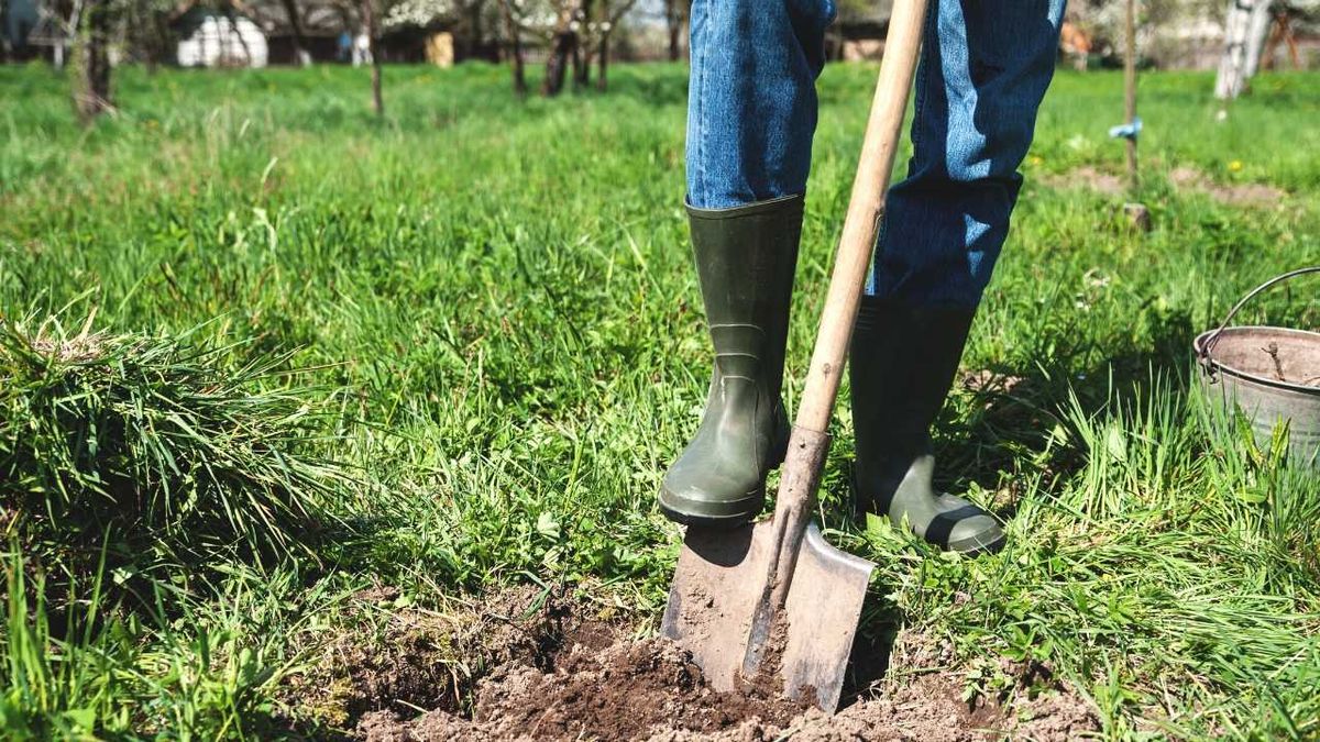 Перекопувати город більше не доведеться: яка проста дія полегшить садівництво