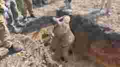 У селі Угли на Рівненщині розпочали пошуково-ексгумаційні роботи