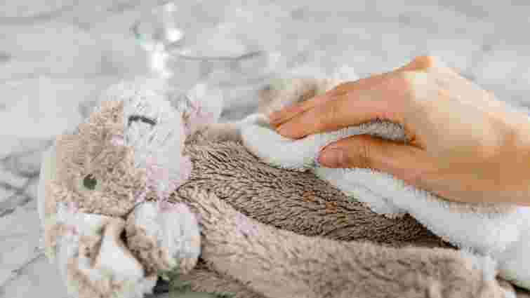 М'які іграшки стануть знову пухнасті: як їх почистити сухим способом