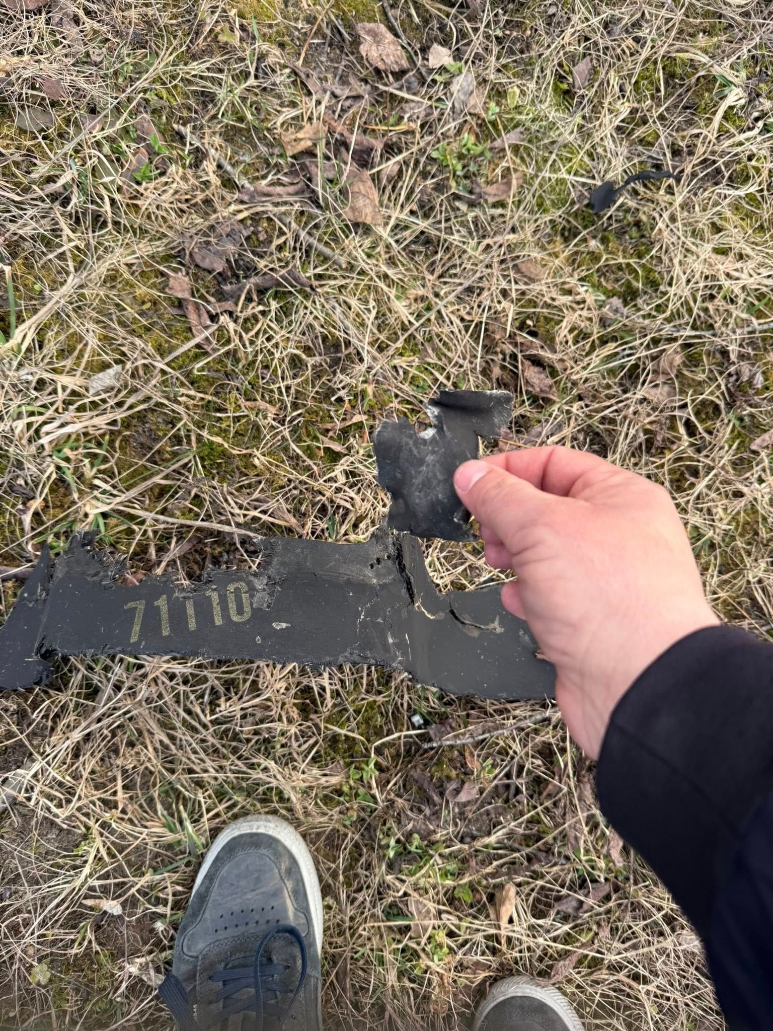 Шматки шахеда біля Залізців