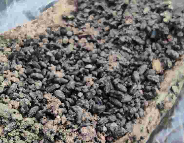 У лісі на Тернопільщині археологи знайшли пшеницю трипільських часів