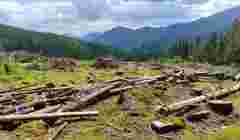 Петиція проти забудови Карпат набрала необхідну кількість голосів