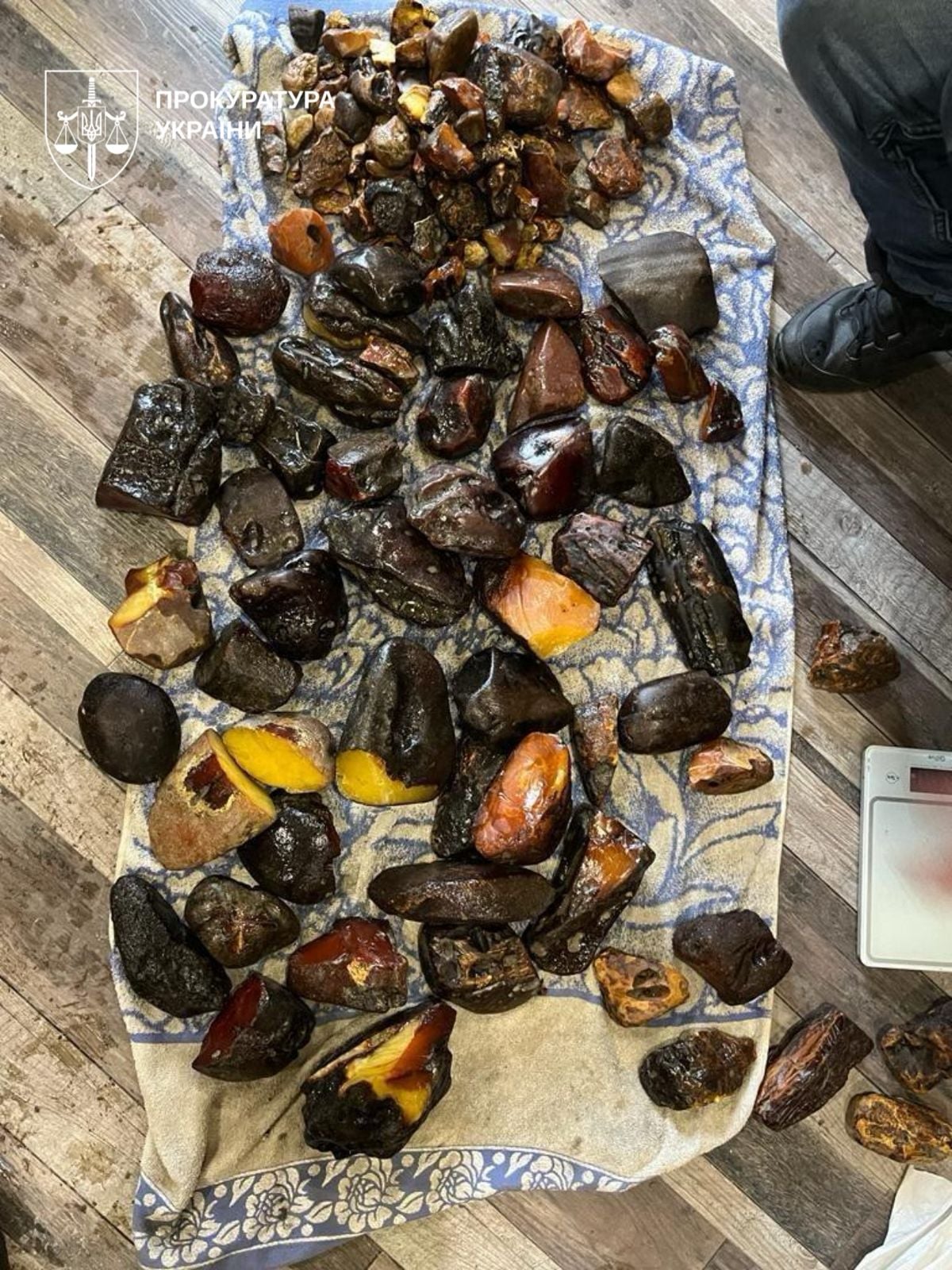 Зловмисники встигли видобути понад 5 тонн бурштину (фото Офісу генпрокурора)