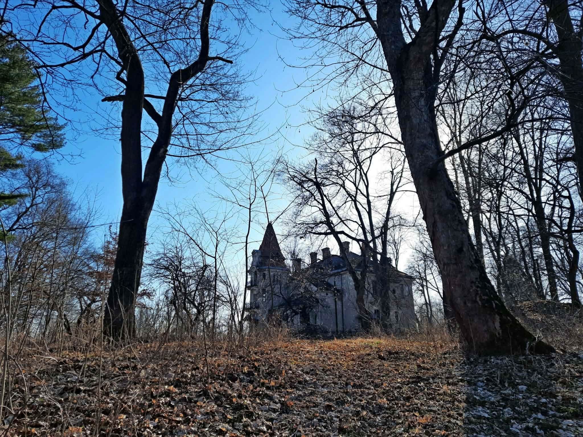 Палац оточує парк