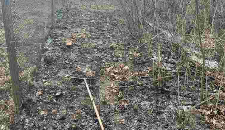 Під час спалювання сухої трави на Тернопільщині загинув пенсіонер