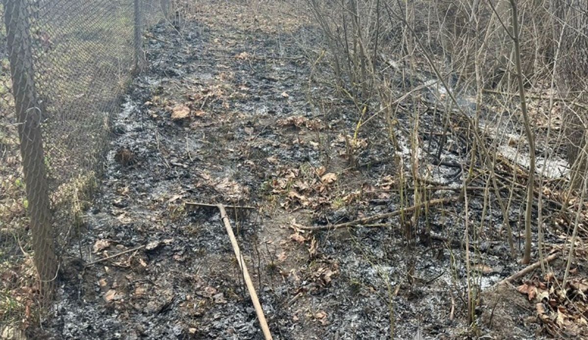 Під час спалювання сухої трави на Тернопільщині загинув пенсіонер