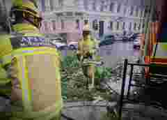 Викладач із Чернівців відсудив 60 тис. грн за пошкоджене гілкою авто