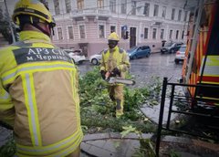 Викладач із Чернівців відсудив 60 тис. грн за пошкоджене гілкою авто