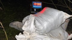 У групи підлітків на Прикарпатті вилучили наркотиків на 165 млн грн