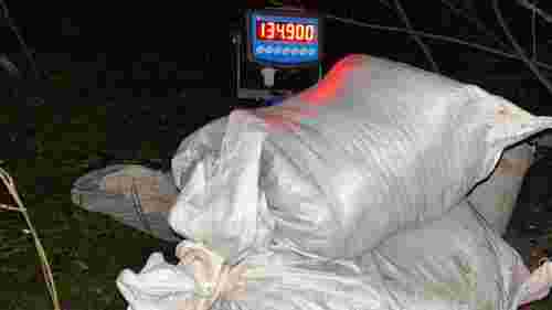 У групи підлітків на Прикарпатті вилучили наркотиків на 165 млн грн