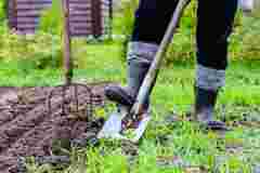 Садити чи чекати: що кажуть прикмети про працю на городі в Страсний тиждень