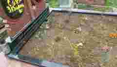 Житель Тернопільщини обписав лайкою надгробок односельчанки через давню образу