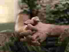 Незаконно мобілізований волинянин через суд звільнився зі служби через хвороби