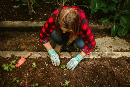 Вербна неділя вже близько: у які дні категорично не можна працювати на городі