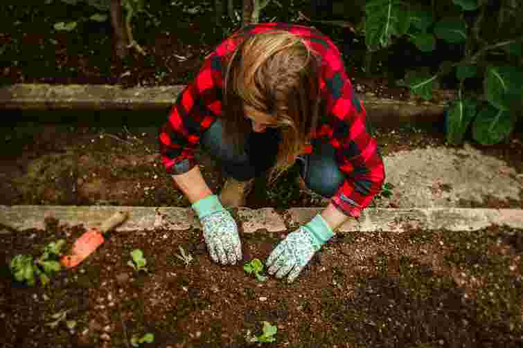 Вербна неділя вже близько: у які дні категорично не можна працювати на городі