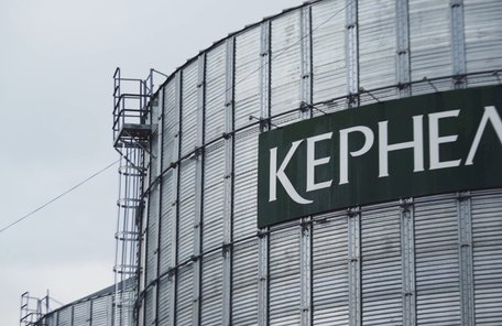 Один із найбільших експортерів зерна України купив агрохолдинг Enselco