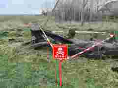 У дуплі дерева на Тернопільщині знайшли снаряд часів Другої світової війни