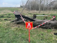 У дуплі дерева на Тернопільщині знайшли снаряд часів Другої світової війни