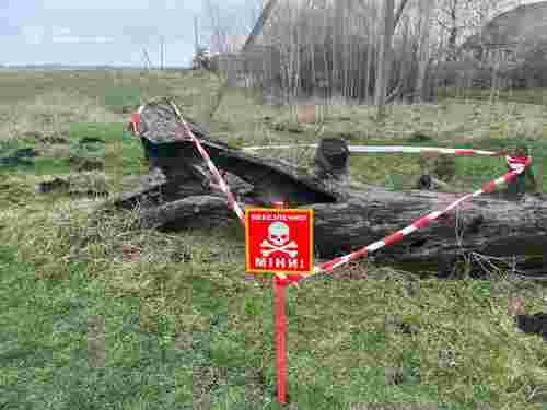 У дуплі дерева на Тернопільщині знайшли снаряд часів Другої світової війни