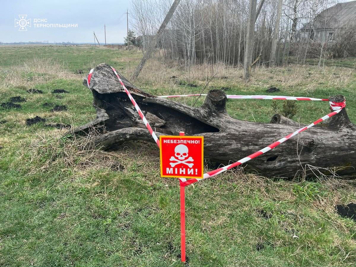 У дуплі дерева на Тернопільщині знайшли снаряд часів Другої світової війни