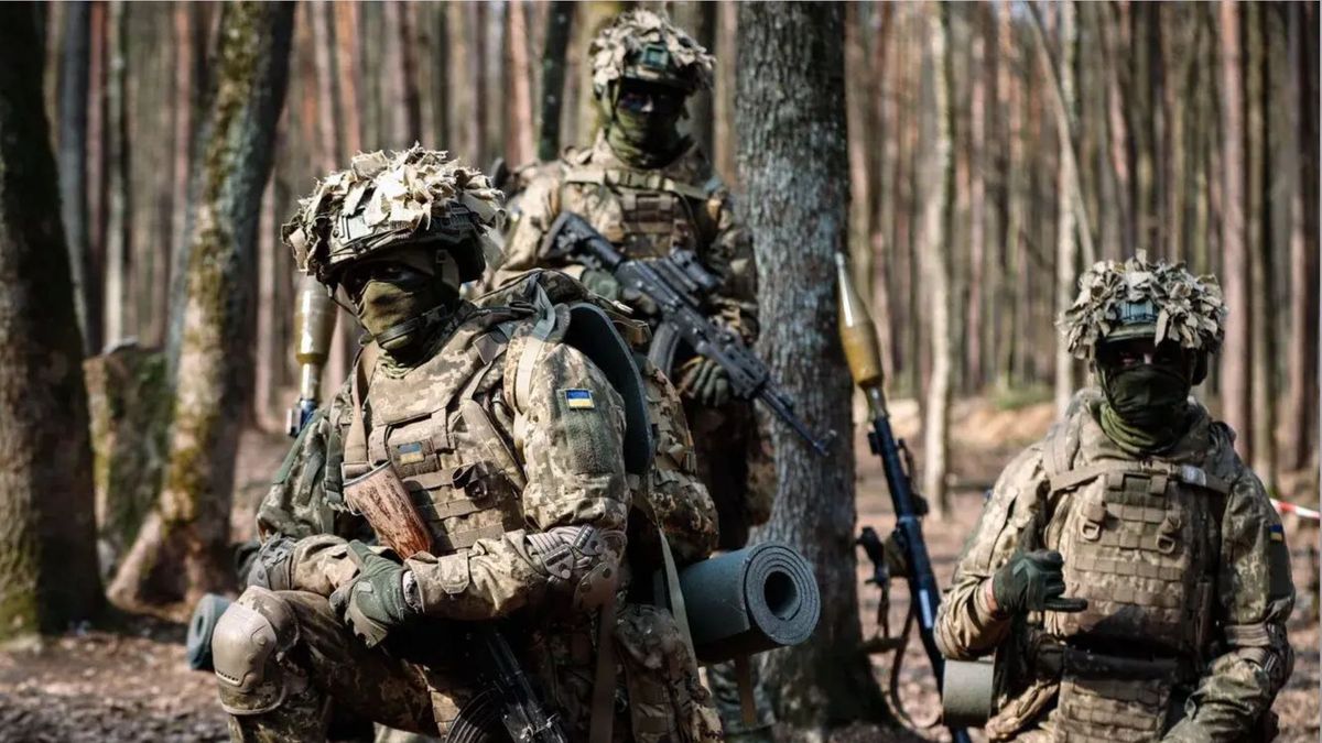 Офіс військового омбудсмена виступив проти створення Штурмових військ