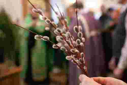 Церкви Луцька опублікували розклад богослужінь на Вербну неділю