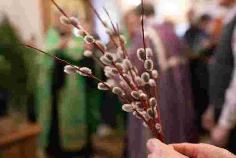 Церкви Луцька опублікували розклад богослужінь на Вербну неділю