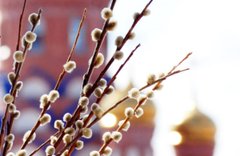 Розклад святкових богослужінь у церквах Хмельницького на Вербну неділю