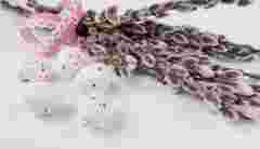 Храми Львова оприлюднили розклади богослужінь на Вербну неділю