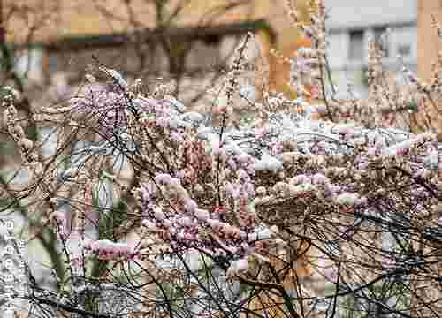 Циклон приніс похолодання в Європу: чи будуть у квітні снігопади в Україні